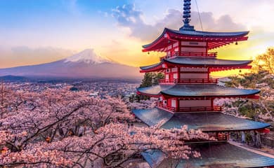 Japan Holiday Package 2027 – Sakura Season Experience